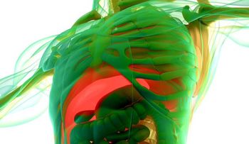 Ocho pasos para desintoxicar tu cuerpo en tres días