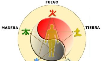 Diagnostica tu sangre menstrual II