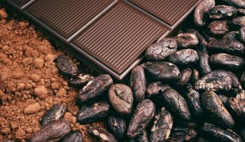 El Cacao puede Reducir el Colesterol