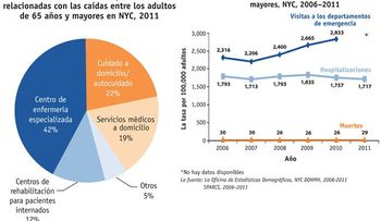 Caídas son la principal causa de lesiones en ancianos de NY