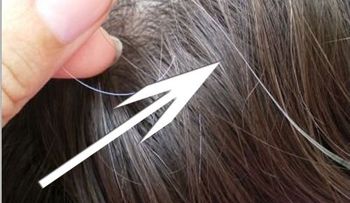 Las mejores soluciones para las canas: Anota estos remedios naturales