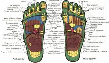 Masaje en los pies o reflexoterapia