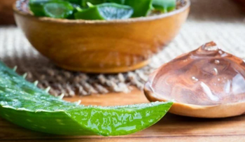 Te enseñamos a usar la sábila para evitar la caída del cabello 