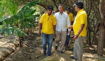 Vegetales RD podrán ingresar a EE.UU sin ser sometidos a detección automática