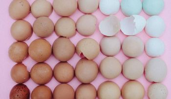 La psicología de la pornografía de la organización: ¿por qué sientes placer con estas imágenes?