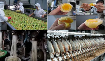 10 comidas hechas en China que contienen plástico, pesticidas y pueden causar Cáncer