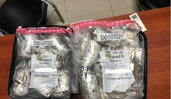 Decomisan 14 paquetes de cocaína en Punta Cana y miles de porciones en otros operativos 