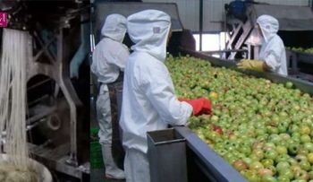 Alimentos chinos llenos de químicos que provocan cáncer