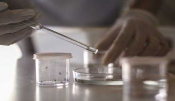 Detectan en Japón el primer caso de zika tras el brote en América