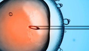 El bebé del mundo con ADN de tres padres
