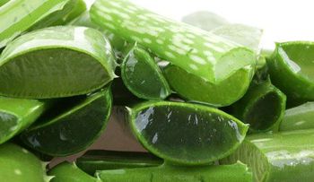 La gastritis podría volverse crónica: Razones por las qué deberías tomar aloe vera