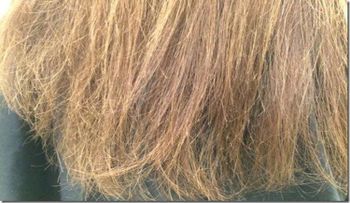 ¿Tu cabello tiene las puntas abiertas y quebradizas? Estas 3 cremas caseras te ayudan a restaurarlas