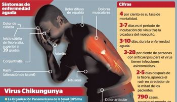 La chikungunya saca su cédula sin fecha de vencimiento