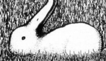 ¿Un pato o un conejo? Lo que veas primero revelará aspectos ocultos de tu personalidad.