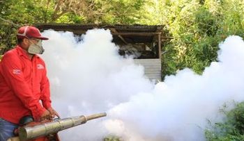 Realizan jornada contra chikungunya y el dengue en parroquias de Caracas