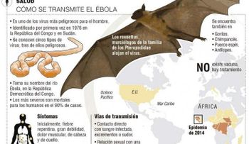 ¿Cómo se transmite el ébola?