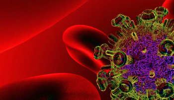 Un nuevo fármaco bloquea metástasis en el cáncer de próstata
