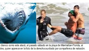 Preocupación y temor entre dominicanos NY por presencia tiburones en playas
