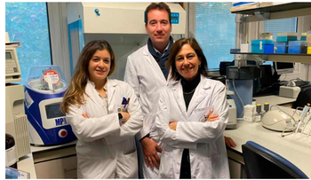 Estudio resalta beneficios del aceite de oliva para la microbiota