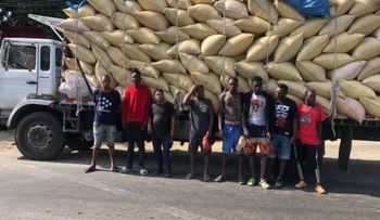 Detienen camión con indocumentados haitianos escondidos en sacos de arroz