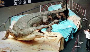 Hallan en Túnez fósiles del Machimosaurus rex, el mayor cocodrilo marino jamás hallado