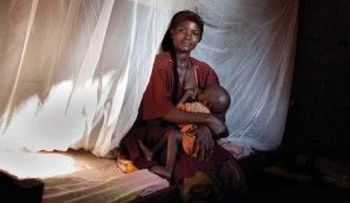 El combate contra la Malaria necesita nueva estrategia, dice la OMS