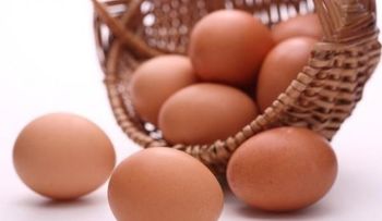 10 razones para usar huevos como ingredientes de tus platos