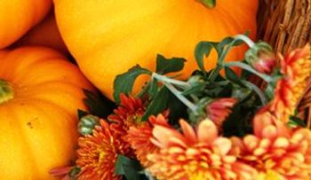 7 beneficios de las semillas de calabaza