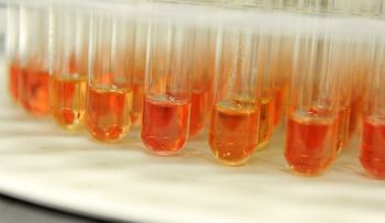 Desarrollan una vacuna rápida contra el cáncer gástrico