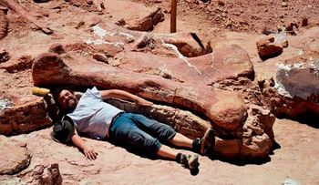 Video: Hallan en Argentina el dinosaurio más grande del mundo 