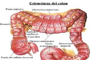 Video: Beneficios de la limpieza de colon