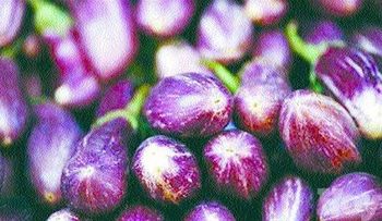Unión Europea permitirá exportación de "cundeamor" y "berenjenas" de RD