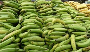 Agricultura asegura veda de Haití a 33 productos de RD es un rumor