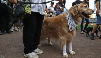 Este juego de béisbol fue el más agradable, pero también impuso un récord