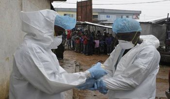 8.000 infectados por el virus del ébola, según la OMS