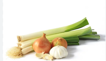 Compuestos del ajo, la cebolla y el puerro  retrasarian el envejecimiento