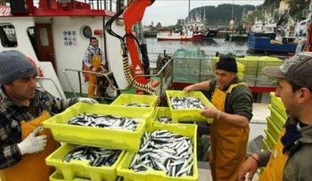 Defienden cambiar las dietas para adaptarse al cambio climático