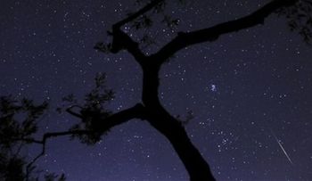 Lluvia de meteoros será visible desde Chicago