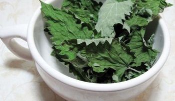 Crecimiento del cabello con menta