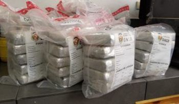 Ocupan 36 kilos de cocaína en aeropuerto de Punta Cana, Las Américas y el puerto de Santo Domingo 