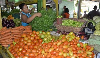 Según FAO, en Latinoamérica se pasa menos hambre y se come mejor
