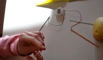Ilumina una habitación por 40 días con una sola papa o patata. Imperdible