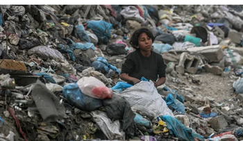 29 muertos hoy en Gaza