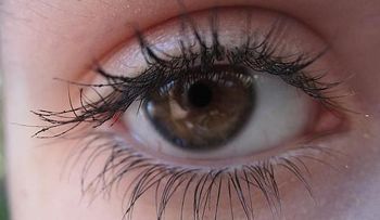 Los ojos marrones crean más confianza que los azules