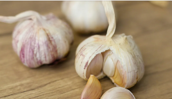 Cinco claves para cultivar ajos con éxito en casa