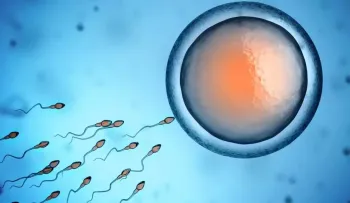 Nace primer bebé del mundo concebido con un nuevo método de fertilidad desarrollado por científicos argentinos