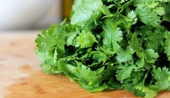 8 beneficios que no sabías del cilantro