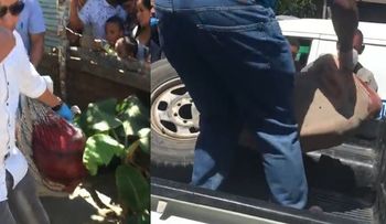 Un hombre mata su pareja y a un hijo de cuatro años y se dispara en el pecho