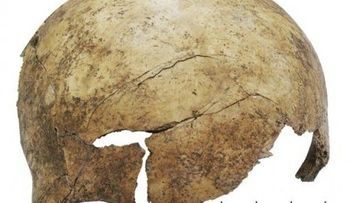 Hallan evidencias de una masacre prehistórica en Europa 