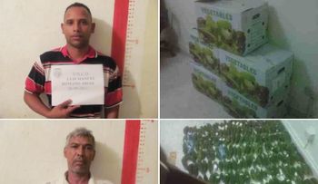 DNCD investiga 25 paquetes coca ocupado en furgón llegó de Venezuela